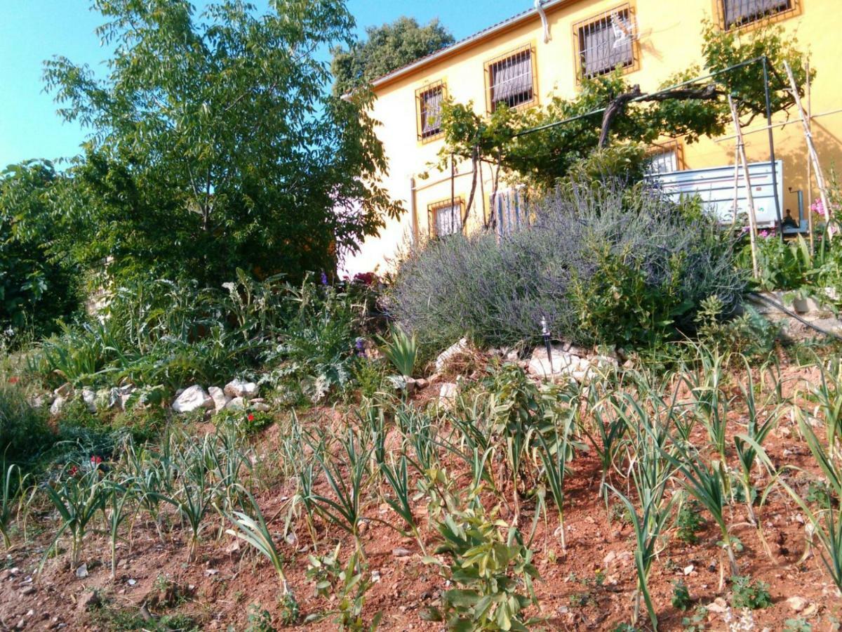 Cortijo De La Cruz Villa อิซนาฮาร์ ภายนอก รูปภาพ